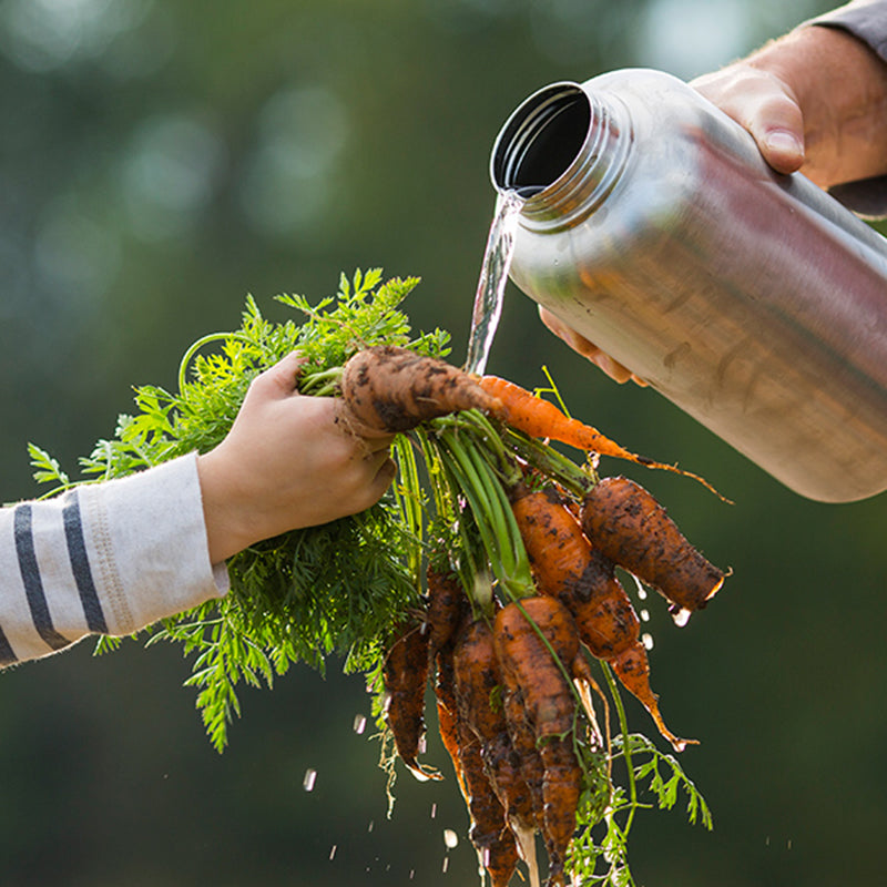 64oz-wide-with-loop-cap-l3 64oz_wide_mouth_bottle_carrots_rinse_square.jpg