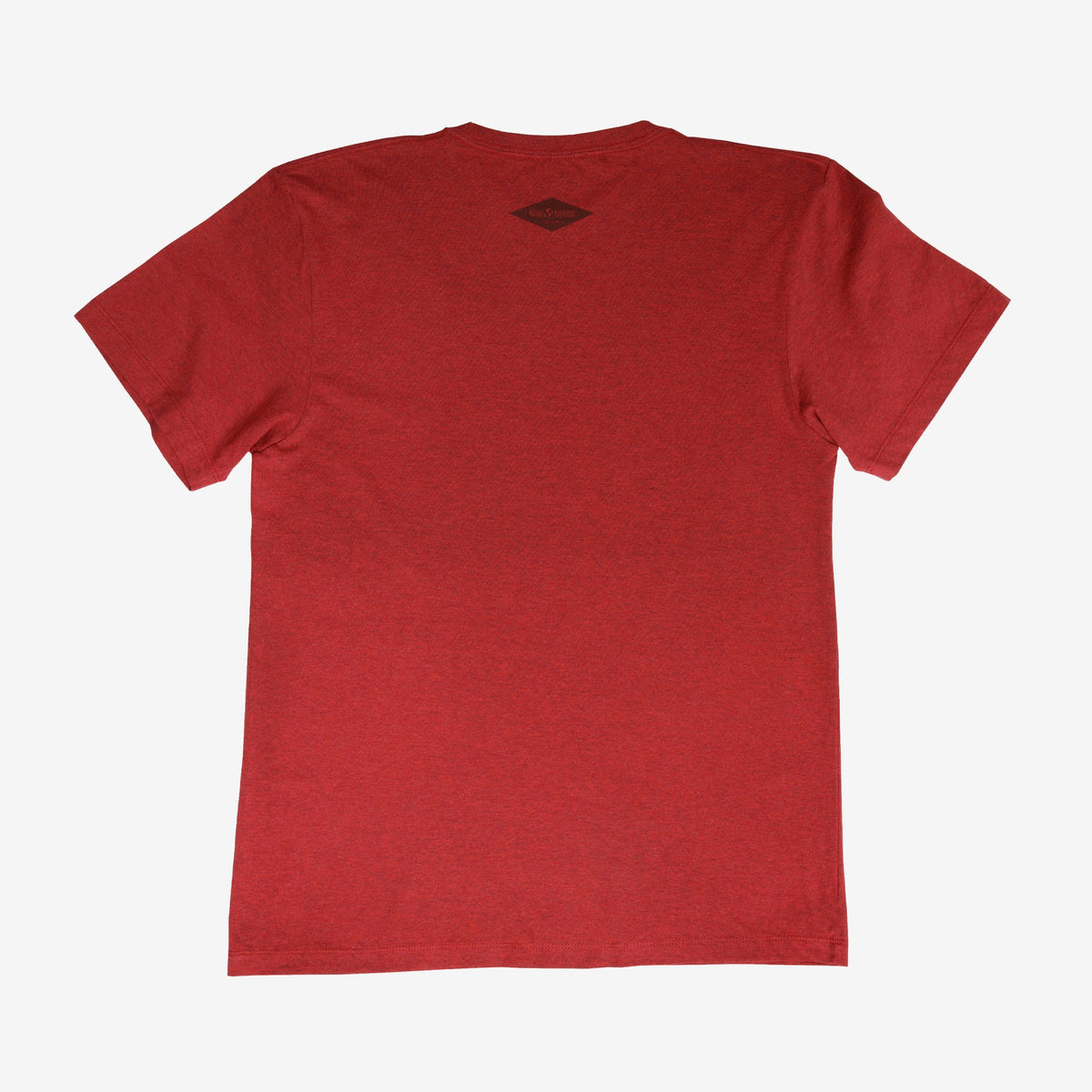 backyard-t-shirt-g5 Shirt_Mtn_Back.jpg